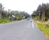 xay-dung-duong-ho-chi-minh-xuyen-dbscl Xây dựng đường Hồ Chí Minh xuyên ĐBSCL